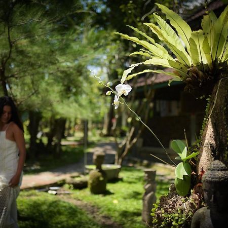 Taman Nauli Boutique Rooms Canggu  Bagian luar foto